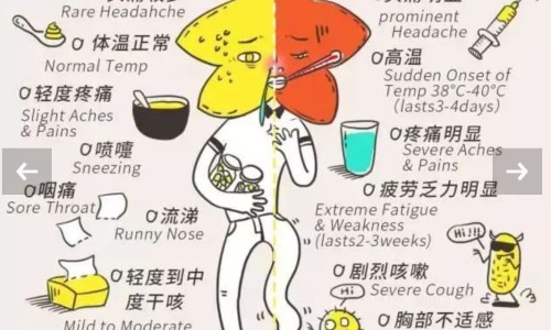 宽根藤中药别名-【宽根藤怎么用法】宽根藤最忌三种配伍 - 宽根藤的副作用网