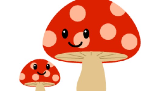 宽根藤的副作用有哪些-【宽根藤怎么用法】宽根藤最忌三种配伍 - 宽根藤的副作用网