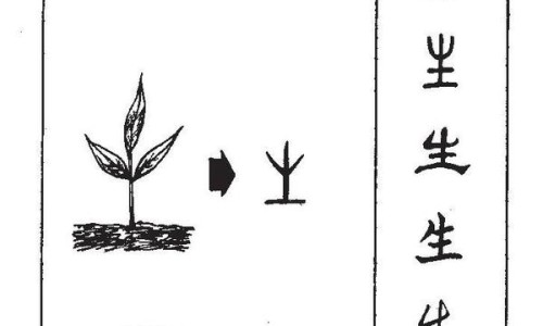 宽根藤的副作用与禁忌-【宽根藤怎么用法】宽根藤最忌三种配伍 - 宽根藤的副作用网